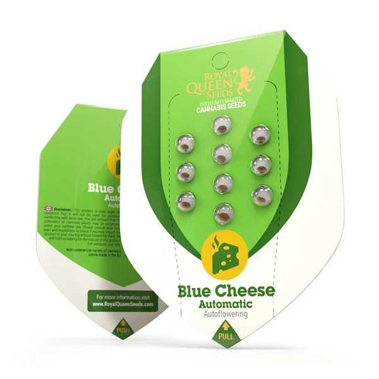 Blue Cheese Autoflowering | Royal Queen Seeds