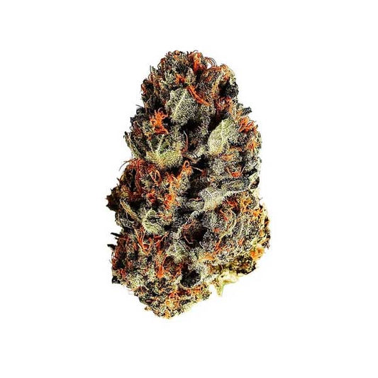 Dance World CBD Feminized | Royal Queen Seeds