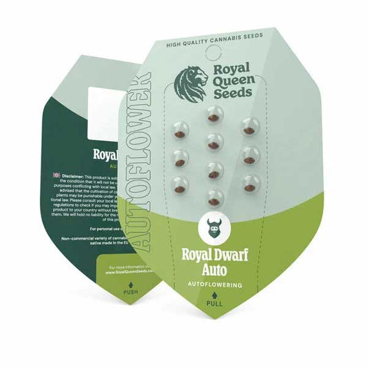Royal Dwarf Autoflowering | Royal Queen Seeds